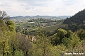 VBS_7209 - Mostra 'Albissola-Monteu Roero. Collezione piatti d'arte e antichi vasi da farmacia